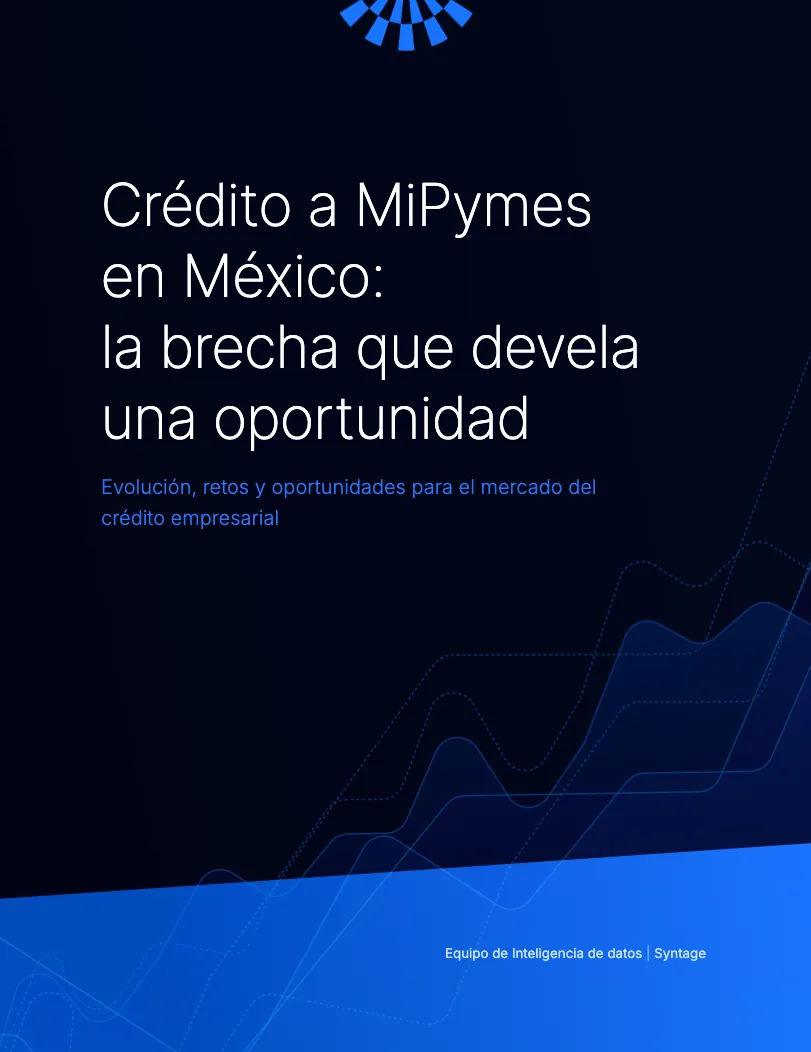 White paper cover: MSME lending in Mexico